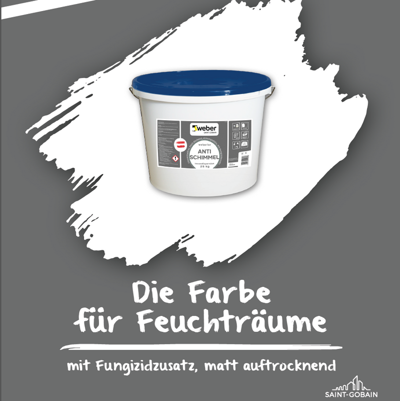 weberlor Antischimmel / weiß-Farbton 100 / 25kg